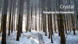  Presentation with pine forest - PPT layouts enhanced with beautiful-winter-landscape-snow-covered background and a dark gray colored foreground