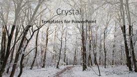  Presentation with pine forest - Theme having beautiful-winter-landscape-snow-covered background and a light gray colored foreground