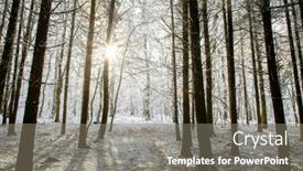  Presentation with pine forest - Cool new theme with beautiful-winter-landscape-snow-covered backdrop and a gray colored foreground