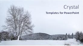  Presentation with winter landscape winter tree - 