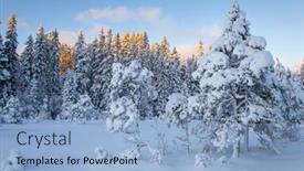  Presentation with winter landscape winter tree - 