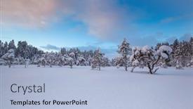  Presentation with winter landscape winter tree - 