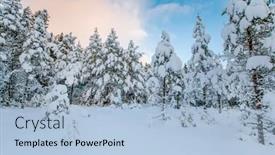  Presentation with winter landscape winter tree - 