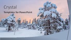  Presentation with winter landscape winter tree - 