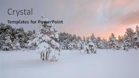  Presentation with winter landscape winter tree - 