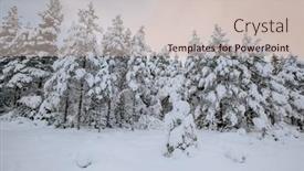  Presentation with winter landscape winter tree - 