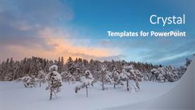  Presentation with winter landscape winter tree - 