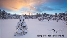  Presentation with winter landscape winter tree - 