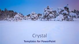  Presentation with winter landscape winter tree - 