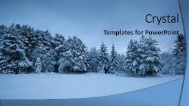  Presentation with winter landscape winter tree - Colorful presentation design enhanced with beautiful winter landscape snow tree backdrop and a light blue colored foreground