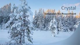  Presentation with winter landscape winter tree - 