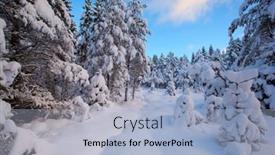  Presentation with winter landscape winter tree - 