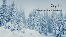  Presentation with snow covered trees and falling - Slides with beautiful winter landscape with snow background and a light blue colored foreground