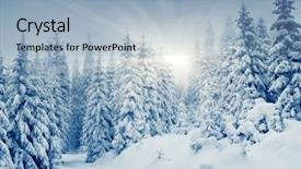  Presentation with winter scene - Amazing slides having beautiful winter landscape with snow backdrop and a light blue colored foreground