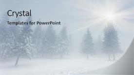  Presentation with snow covered trees and falling - Presentation theme with beautiful winter landscape with snow background and a  colored foreground