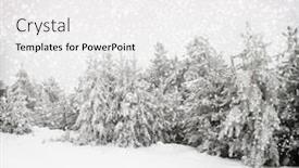  Presentation with snow - Amazing presentation having beautiful-winter-landscape-with-snow backdrop and a white colored foreground