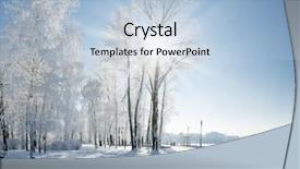  Presentation with snow covered trees and falling - PPT theme consisting of beautiful winter landscape with snow background and a light blue colored foreground