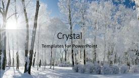  Presentation with snow covered trees and falling - Amazing presentation design having beautiful winter landscape with snow backdrop and a light gray colored foreground