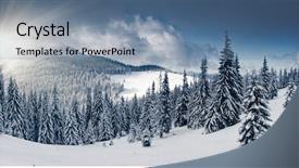  Presentation with snow covered trees and falling - Amazing presentation theme having beautiful winter landscape with snow backdrop and a seafoam green colored foreground