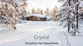  Presentation with forest winter - Colorful slide set enhanced with beautiful-winter-landscape-with-wooden backdrop and a sky blue colored foreground