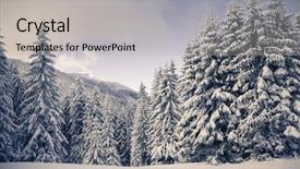  Presentation with snow covered trees and falling - Beautiful PPT theme featuring beautiful winter panorama with snow backdrop and a  colored foreground