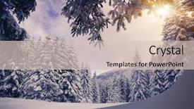  Presentation with snow covered trees and falling - Audience pleasing presentation design consisting of building teamwork and people concept - group of smiling builders in hardhats with blueprint indoors backdrop and a light gray colored foreground