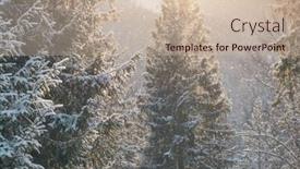  Presentation with spruce - Theme enhanced with beautiful-winter-scenery-with-snow background and a soft green colored foreground
