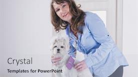  Presentation with grooming dog - Presentation design consisting of beautiful-woman-combing-and-grooming background and a light gray colored foreground