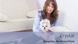  Presentation with grooming dog - Beautiful PPT theme featuring beautiful-woman-combing-and-grooming backdrop and a light blue colored foreground