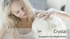  Presentation with cake dog - Amazing presentation design having beautiful woman feeding cake to dog in house backdrop and a light gray colored foreground