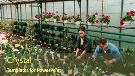  Presentation with man and woman - PPT theme with beautiful-woman-florist-and-young background and a tawny brown colored foreground