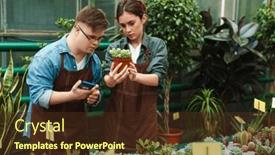  Presentation with helping man - Theme featuring beautiful-woman-florist-wearing-apron background and a tawny brown colored foreground