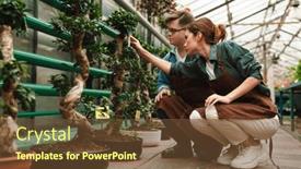  Presentation with helping man - Theme with beautiful-woman-florist-wearing-apron background and a tawny brown colored foreground