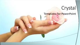  Presentation with blue rose - Colorful slides enhanced with hands with rose on blue backdrop and a white colored foreground