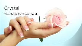  Presentation with blue rose - Amazing slide deck having beautiful-woman-hands-with-rose backdrop and a white colored foreground