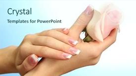  Presentation with blue rose - Colorful theme enhanced with beautiful woman hands with rose backdrop and a cool aqua colored foreground