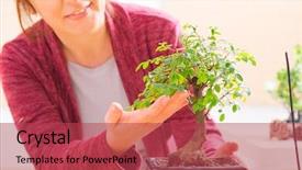  Presentation with bonsai - Slides consisting of beautiful woman holding bonsai tree background and a red colored foreground