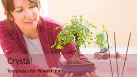  Presentation with bonsai - Colorful PPT theme enhanced with beautiful woman holding bonsai tree backdrop and a red colored foreground