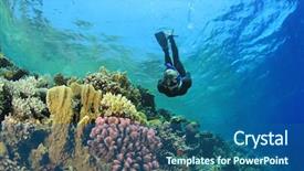  Presentation with sea coral - Slide deck featuring beautiful woman snorkeler explores a coral reef in the red sea background and a ocean colored foreground