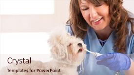  Presentation with toothpaste - Colorful presentation design enhanced with summer diet cold soup tarator yogurt with cucumbers and greens on a black concrete stone table backdrop and a dark gray colored foreground