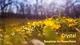  Presentation with jasmine spring flowers - Colorful PPT theme enhanced with beautiful woodland landscapes spring flowers backdrop and a tawny brown colored foreground