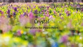  Presentation with beautiful spring flowers - Audience pleasing presentation theme consisting of beautiful woodland landscapes spring flowers backdrop and a yellow colored foreground