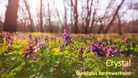  Presentation with woodland - Audience pleasing PPT theme consisting of beautiful woodland landscapes spring flowers backdrop and a tawny brown colored foreground