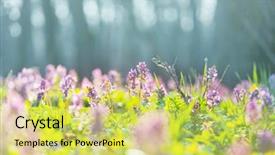  Presentation with woodland - PPT theme having beautiful woodland landscapes spring flowers background and a yellow colored foreground