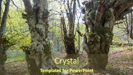  Presentation with spring flowers on textured - PPT theme having beautiful-woodland-landscapes-spring-flowers background and a tawny brown colored foreground