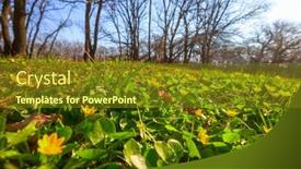  Presentation with woodland - Beautiful presentation featuring beautiful-woodland-landscapes-spring-flowers backdrop and a tawny brown colored foreground