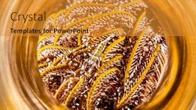  Presentation with indonesia - Slide deck consisting of beautiful-yellow-and-white-delicate background and a gold colored foreground