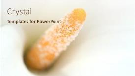  Presentation with flower - Presentation design having beautiful-yellow-and-white-flower background and a lemonade colored foreground