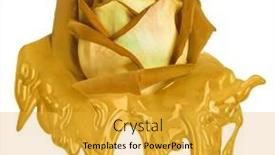  Presentation with yellow rose - Theme having beautiful-yellow-color-rose-isolated background and a yellow colored foreground
