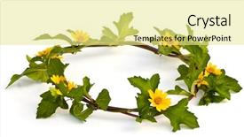  Presentation with crown - Audience pleasing theme consisting of beautiful yellow flower crown isolated backdrop and a blonde colored foreground